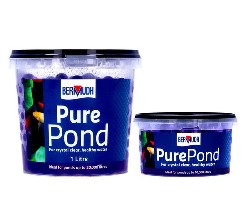 Bermuda pure pond - pure,